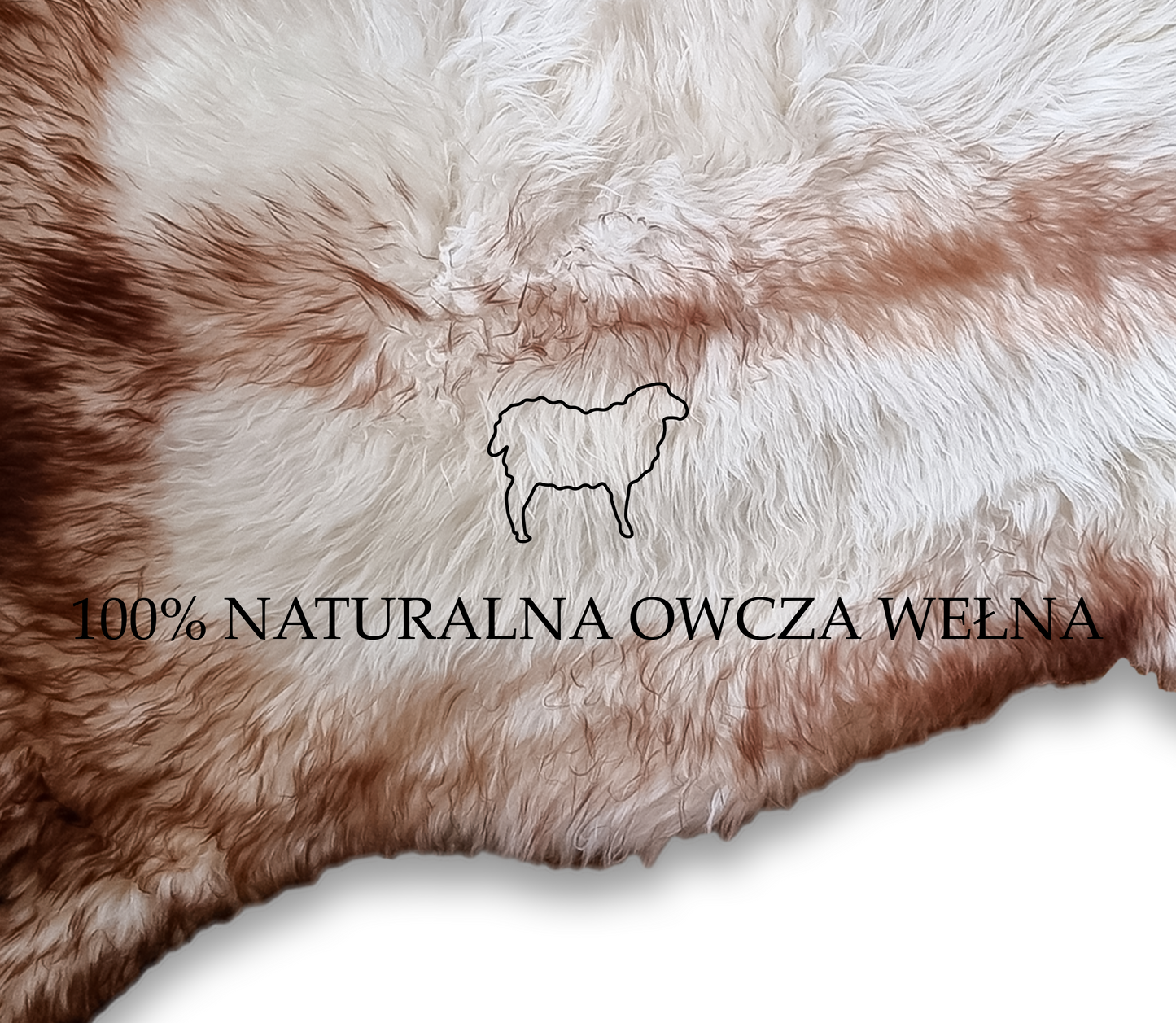 SKÓRA OWCZA SKÓRY OWCZE NATURALNE 120-130 cm DUŻE XXL